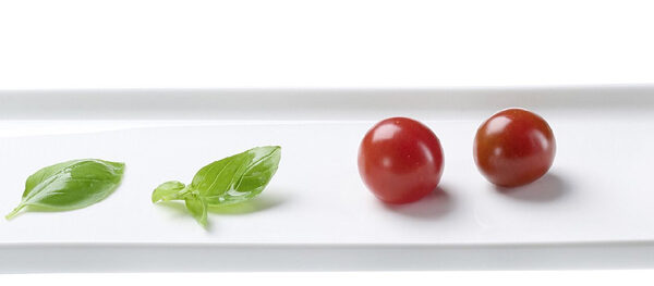 Ritzenhoff & Breker serveerplateau SKAGEN rechthoekig, 305 x 115 mm