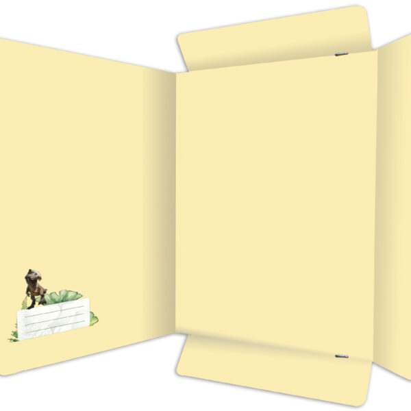 RNK Verlag postmap 'Tyrannosaurus', DIN A4, karton