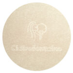 Clairefontaine C by Clairefontaine, DIN A4, stralendwit