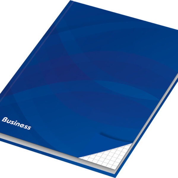 RNK Verlag notitieboekje ´Business blauw´, DIN A5, geruit