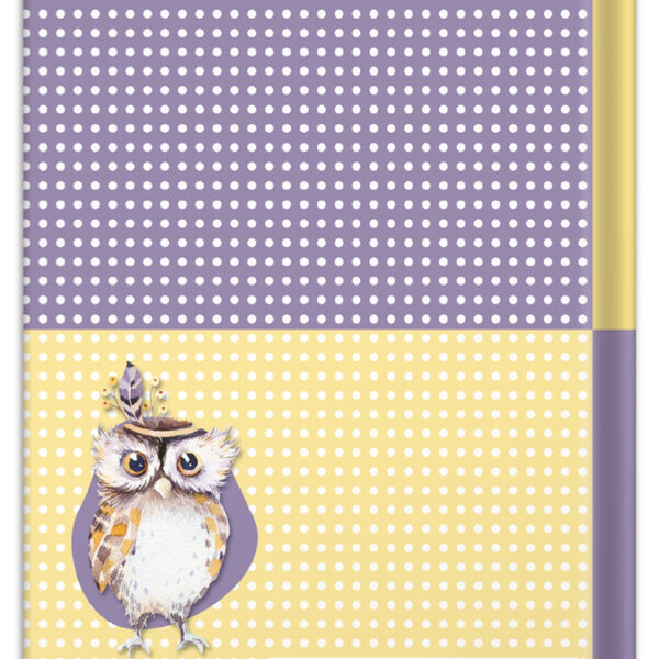 RNK Verlag notitieboek 'Uil', DIN A5, 96 vel, gepunt