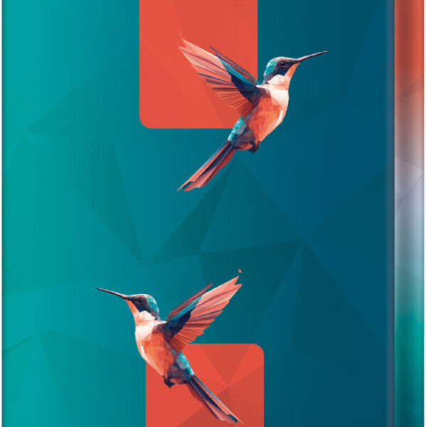 RNK Verlag notitieboek 'Kolibri', DIN A5, geruit