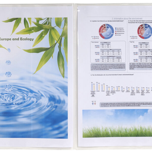 EXACOMPTA Identiteitskaarthoes, PVC, 2-voudig, 0,15 mm, DIN A4