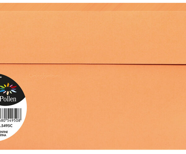 Pollen by Clairefontaine envelop 110 x 220 mm, clementine, 120 g/m²