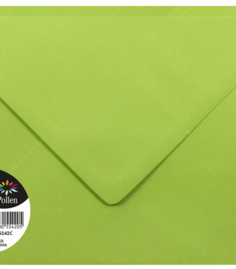 Pollen by Clairefontaine envelop 162 x 229 mm, mint, 120 g/m²