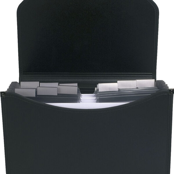 EXACOMPTA Vakkenmap Exacase, 13 vakken, zwart