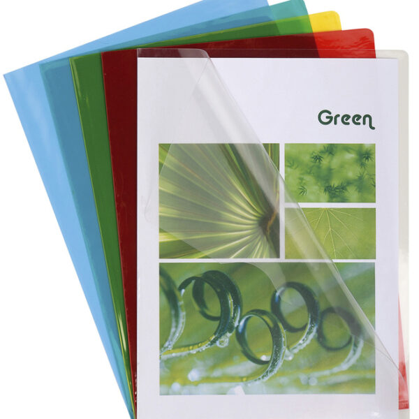 EXACOMPTA zichthoes, DIN A4, PVC 0,13 mm, kleuren assorti