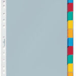 DURABLE zichthoes-tabbladen, A4, 10-delig, 1 - 10, transparant