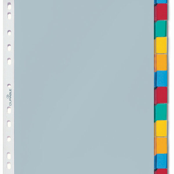 DURABLE zichthoes-tabbladen, 12-delig, 1 - 12, Jan. - Dez.