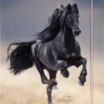 folia tekeningenmap BASIC 'Black Horse', karton, DIN A3