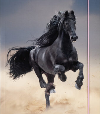 folia tekeningenmap BASIC 'Black Horse', karton, DIN A3