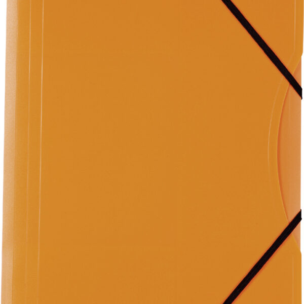 folia hoekspanmap NEON, PP, DIN A4, kleuren assorti