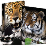 HERMA hoekspanmap ´Leopard´, van PP, DIN A4