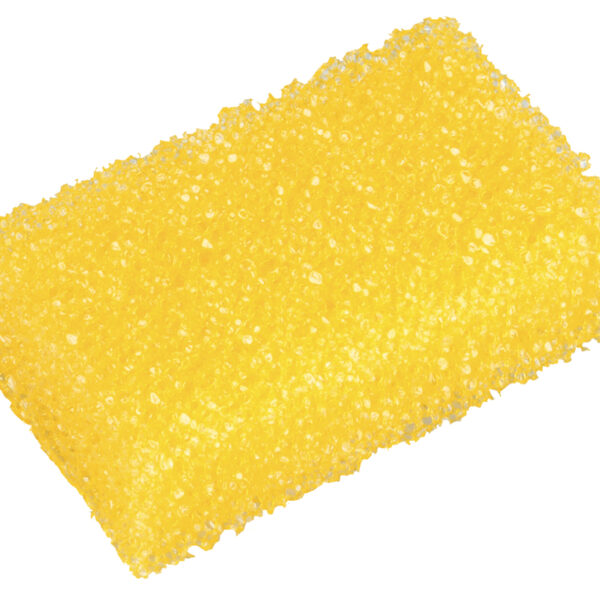 NIGRIN insectenspons, verwijdert hardnekkige insectenresten