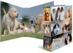 HERMA Motiefordner ´Animals´, DIN A4, 70 mm, Hond