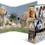 HERMA Motiefordner ´Animals´, DIN A4, 70 mm, Hond
