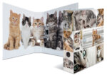 HERMA Motiefordner ´Animals´, DIN A4, 70 mm, Katten