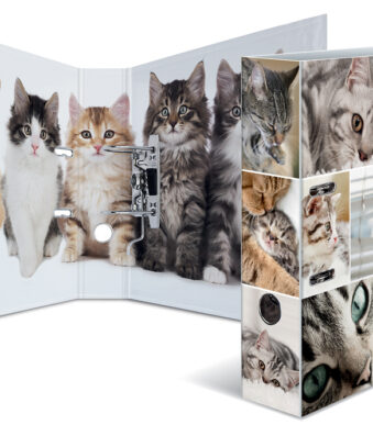 HERMA Motiefordner ´Animals´, DIN A4, 70 mm, Katten