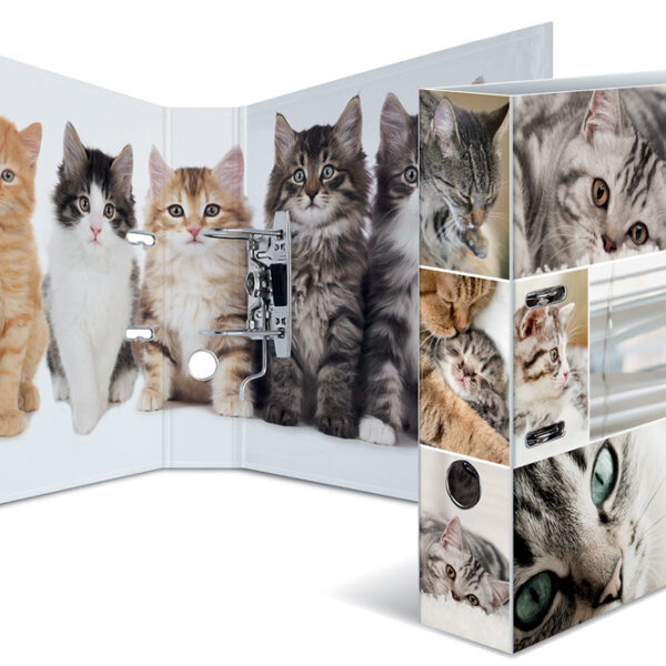 HERMA Motiefordner ´Animals´, DIN A4, 70 mm, Katten