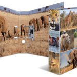 HERMA Motiefordner ´Animals´, DIN A4, 75 mm, Afrika dieren