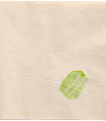 PAPSTAR Lunch-servetten, 330 x 330 mm, 2-laags, naturel