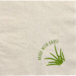 PAPSTAR Lunch-servetten, 330 x 330 mm, 2-laags, naturel, 15% gras