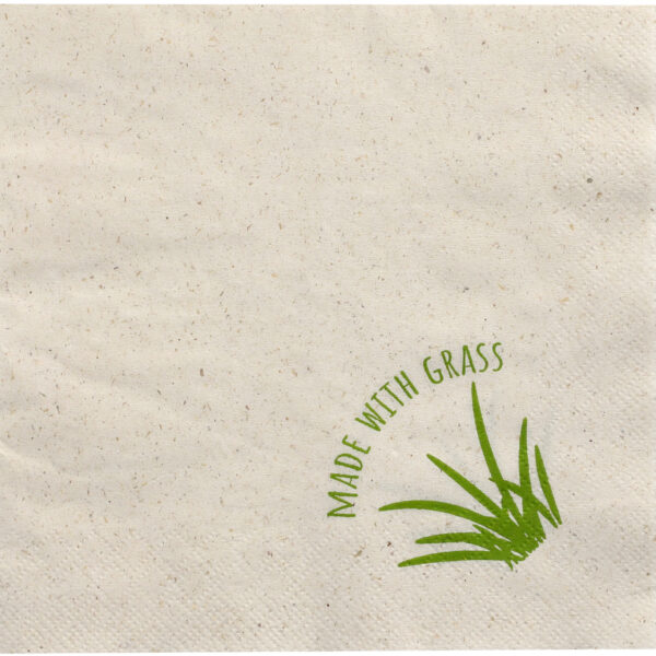 PAPSTAR Lunch-servetten, 330 x 330 mm, 2-laags, naturel, 15% gras