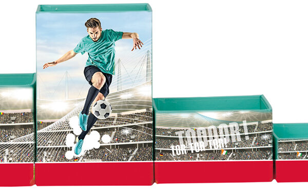 ROTH multi-pennenbakjesset 'Voetbalster', van karton, 4 vakken