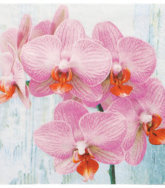 PAPSTAR motief-servetten 'Phalaenopsis', 330 x 330 mm