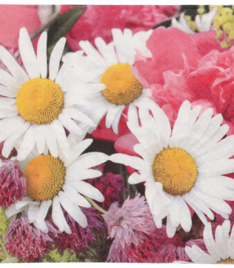 PAPSTAR motief-servetten 'Marguerite', 330 x 330 mm