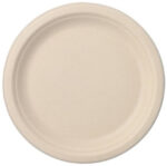 PAPSTAR bord van suikerriet 'pure', rond, 230 mm, 50 stuks