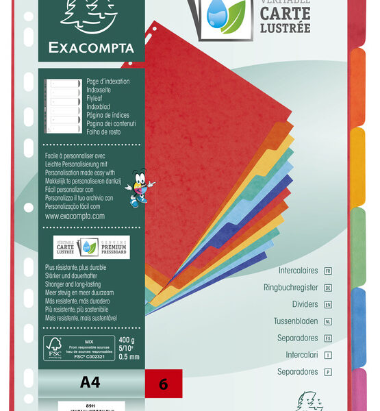 EXACOMPTA kartonnen tabbladen, DIN A4, 6-delig