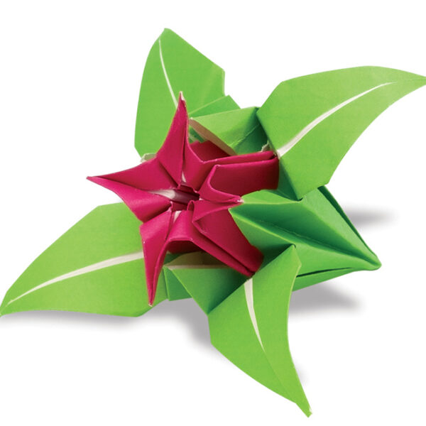 folia Origami-vouwbladen, 100 x 100 mm, kleuren assorti, 96 vel