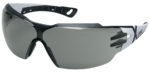 uvex veiligheidsbril pheos cx2, tint glazen: grijs