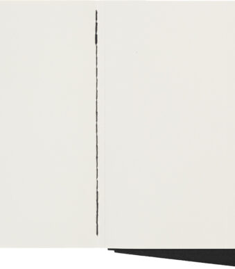 MOLESKINE notitieschrift, P/A6, blanco, karton, zwart