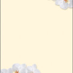 sigel Design-papier, DIN A4, 90 g/m2, motief ´Witte orchidee´, 50 vel