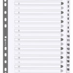 EXACOMPTA kartonnen tabbladen 1-20, DIN A4, wit, 20-delig