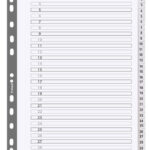 EXACOMPTA kartonnen tabbladen 1-31, DIN A4, wit, 31-delig