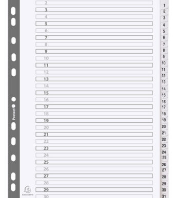 EXACOMPTA kartonnen tabbladen 1-31, DIN A4, wit, 31-delig