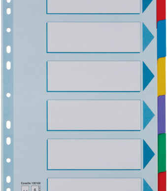 Esselte kartonnen tabbladen, blanco, A4, 6-delig, meerkleurig