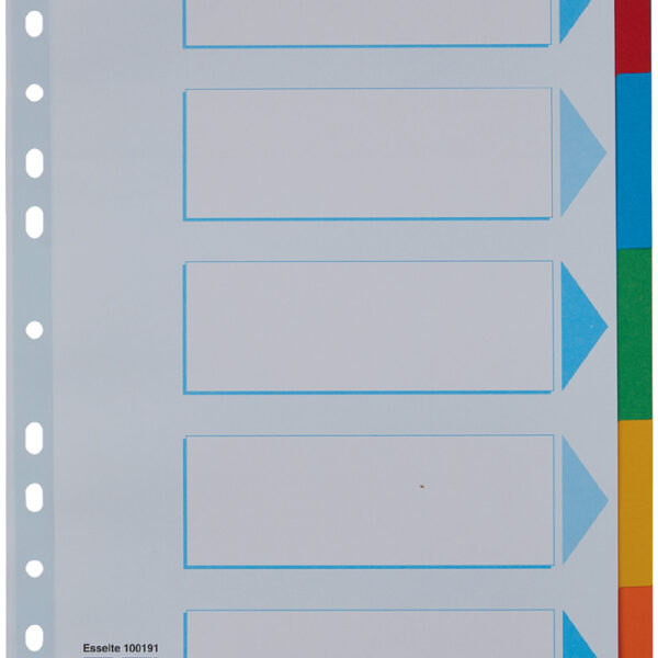 Esselte kartonnen tabbladen, blanco, A4, 5-delig, meerkleurig
