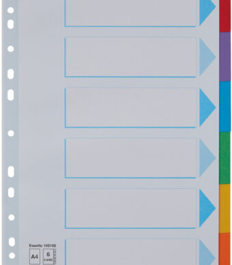 Esselte kartonnen tabbladen, blanco, A4, 6-delig, meerkleurig