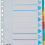 Esselte kartonnen tabbladen, blanco, A4, 10-delig, meerkleurig