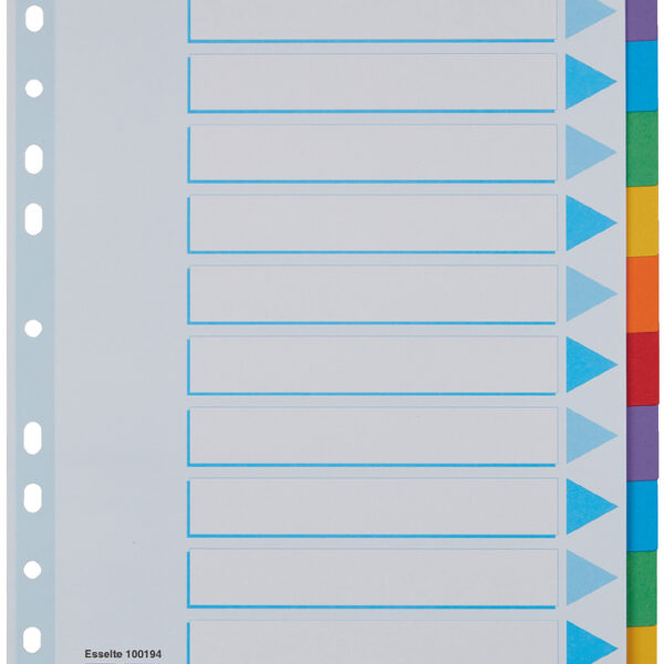 Esselte kartonnen tabbladen, blanco, A4, 12-delig, meerkleurig