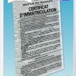 Oxford ID-kaarthoes, PVC, 3-vaks, 0,30 mm, formaat: 85 x 135 mm