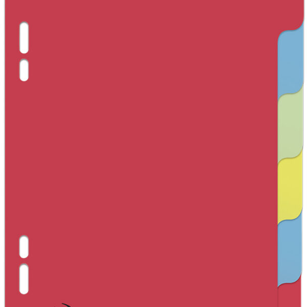Oxford kartonnen tabbladen, blanco, 170 x 220 mm, gekleurd, 6-delig