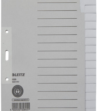 LEITZ kraftpapier-tabbladen, blanco, A5, 15-delig, grijs