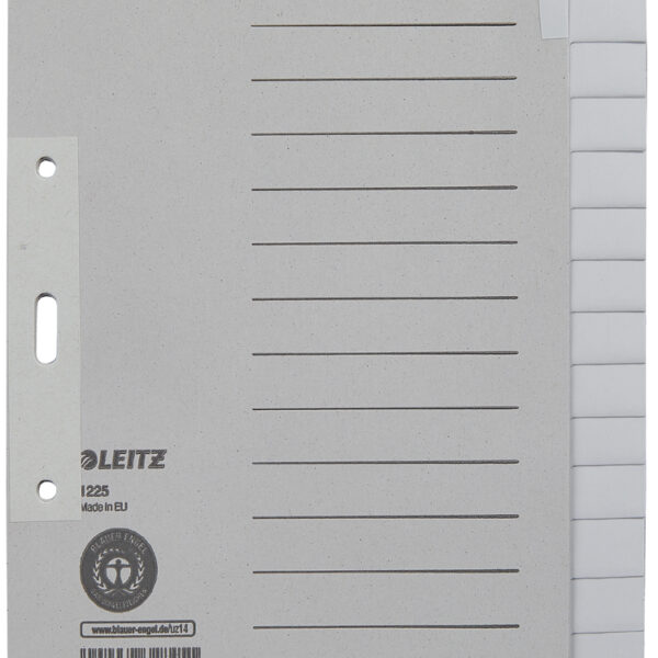 LEITZ kraftpapier-tabbladen, blanco, A5, 15-delig, grijs