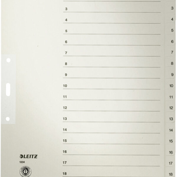 LEITZ kraftpapier-tabbladen, cijfers, A4 overbreed, 1-20,grijs