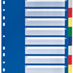 LEITZ kunststof tabbladen, blanco, A4, 10-delig, gekleurd